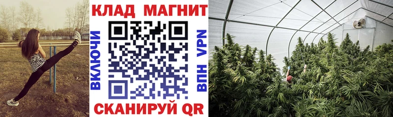 Все наркотики Свирск Канабис  COCAIN  Кодеин  МЕФ  ГАШИШ 