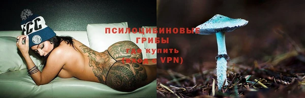 mdpv Заволжск