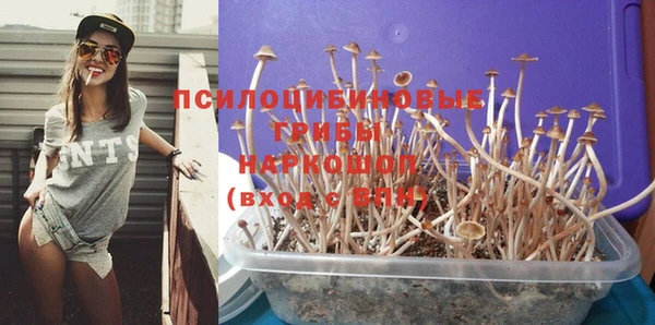 mdpv Заволжск